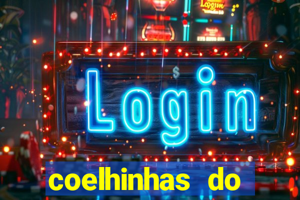 coelhinhas do brasil recife